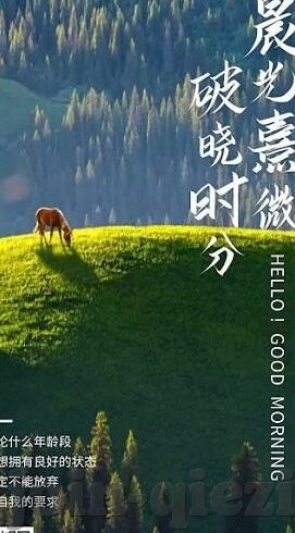 成人小视频-成人小视频，网络文化中的一面双刃剑