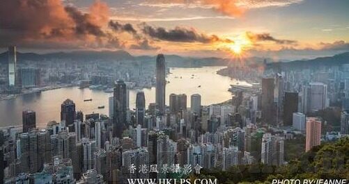 大象传媒2023隐藏入口-探索大象传媒2023的隐藏入口，解锁数字时代的文化新视界