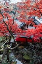 果冻传媒91-探索果冻传媒91，数字时代下的内容创新与文化交融