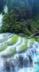 快猫回家视频麻豆-旋律在家的空气中流淌