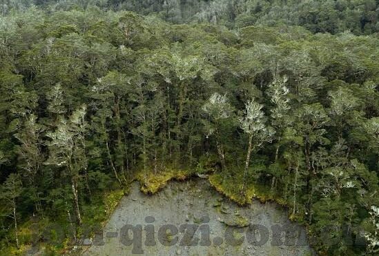 麻豆视频app下载无限观看苹果-畅享无界，麻豆视频app——苹果设备上的精彩观影之旅