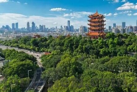 麻豆下载app下载-多彩娱乐世界，麻豆APP下载的多样性体验