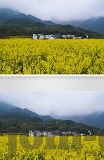 糖心vlog最新入口-遇见潮流，探索糖心Vlog最新入口的精彩瞬间