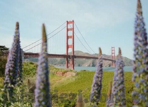 伊人久久精品一区二区三区-伊人久久，探索网络世界的独特风景